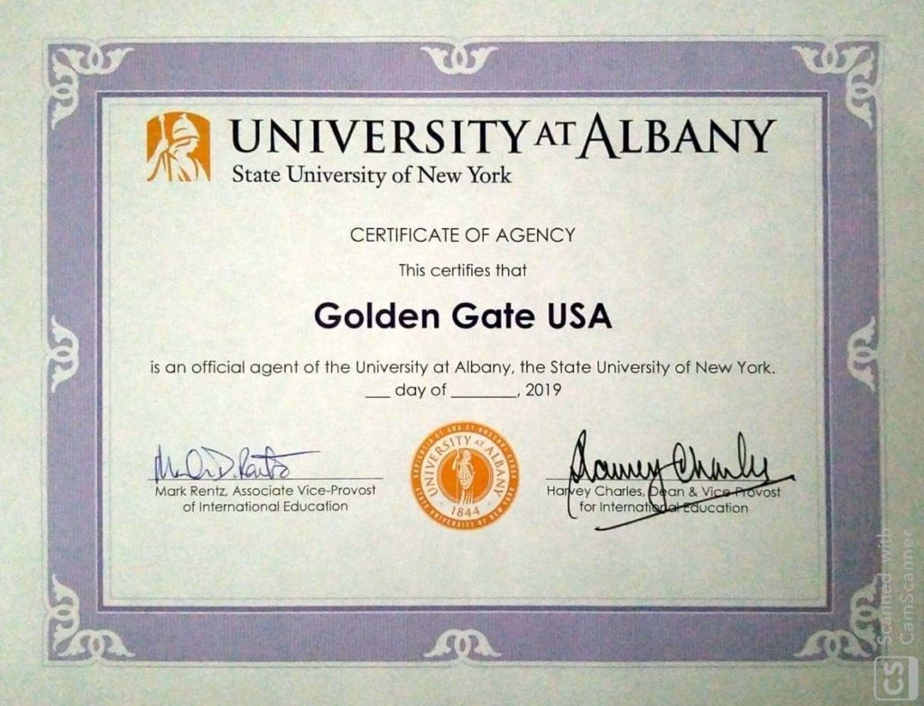 University at Albany NYC