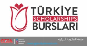 Scholarships in turkey