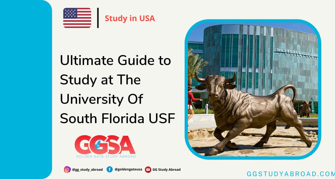 Ultimate Guide to Study at The University Of South Florida USF