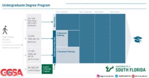 Undergraduate Entry Requirements at USF