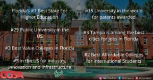 Why the University of South Florida is the perfect destination for international students